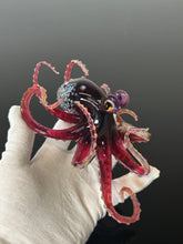 Merlot Octopus