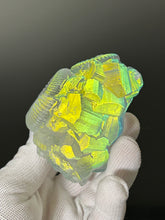 Ammonite Specimen