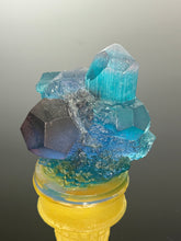 “Gem sherbet”