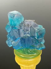 “Gem sherbet”