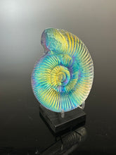 Ancient Ammonite