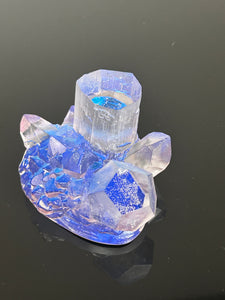 Specimen “#016