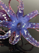 Purple Berry Octopus