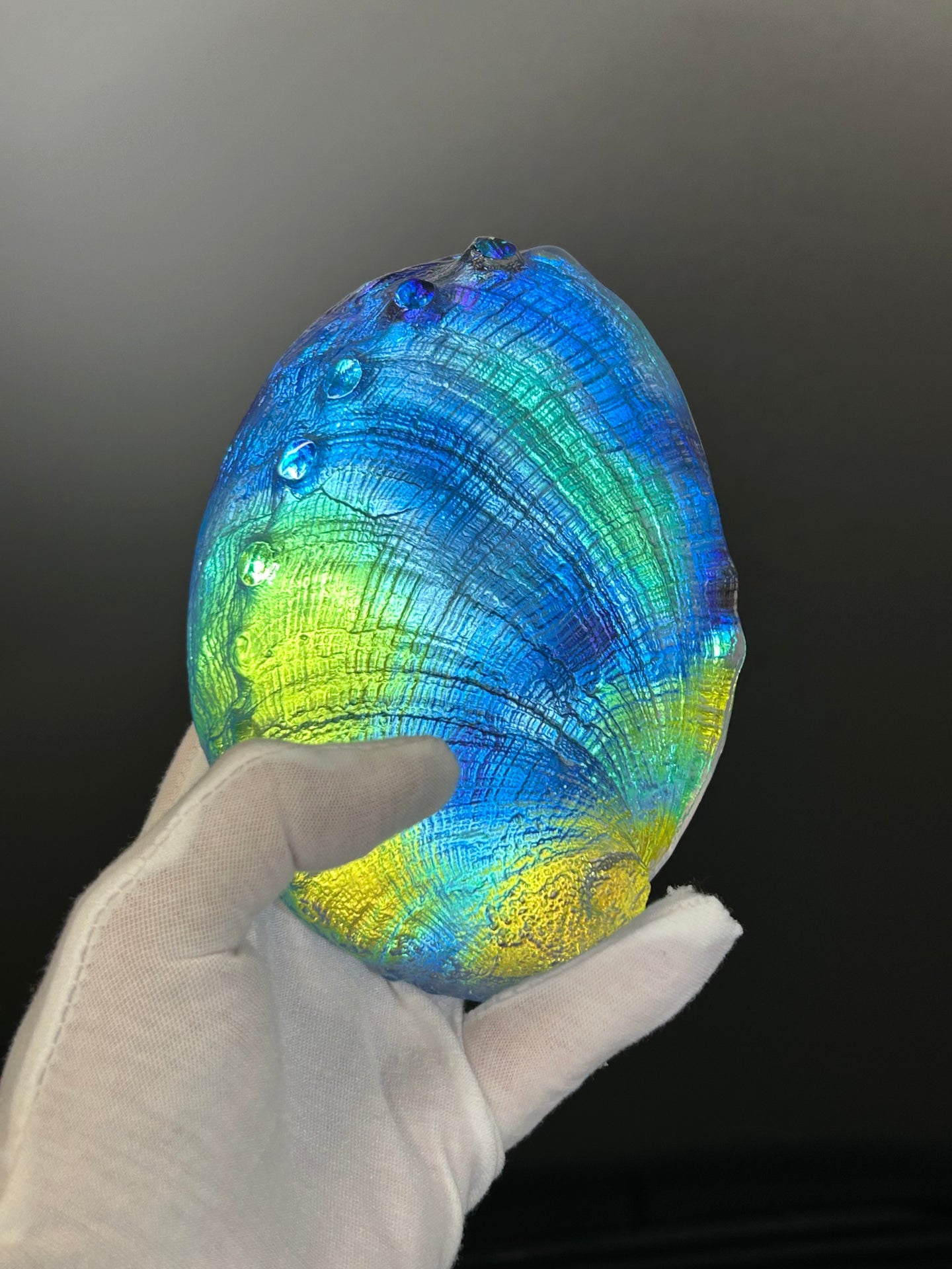 Cosmic Abalone “sale”