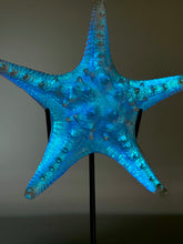Large Aural Sea Star w/stand