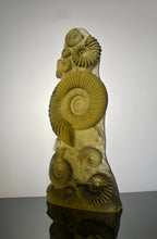 “Ancient Ammonite” in olivine