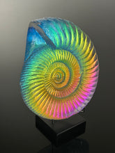 Rainbow Ammonite lg