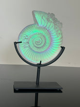 Crystalized Aural Ammonite
