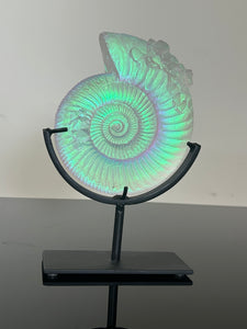 Crystalized Aural Ammonite
