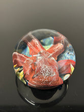 Nodule #258 “Big Red Lens “