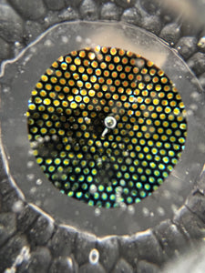 Nodule #269 “Chiseled Pixel”