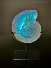 Opal Ammonite