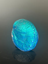 Aqua Aural Abalone “small”