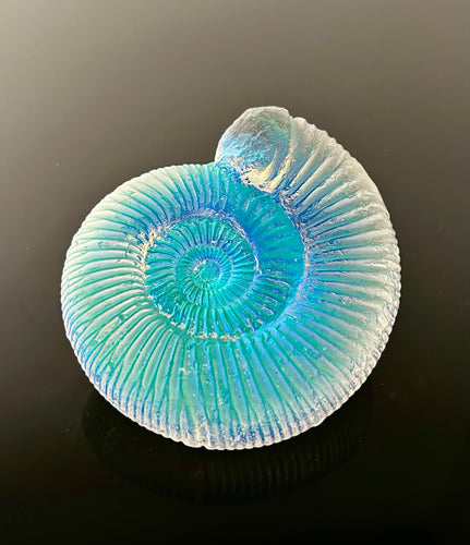 Aural Ammonite