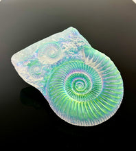 Aural Ammonite Sculpture “Medium size”