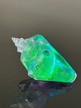 Aqua Aural Conch