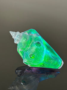 Aqua Aural Conch
