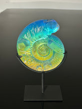 Geo Ammonite