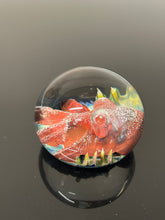 Nodule #258 “Big Red Lens “