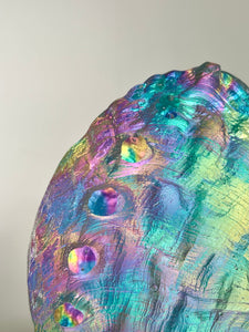 Cosmic Abalone “Large with stand”
