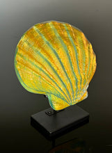 Sunset Scallop