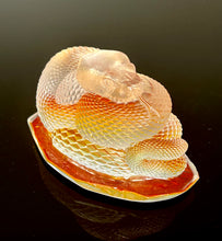 Hot Fire Rattle Snake “NEW!”