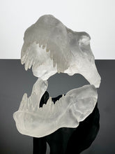 “Surthrival”