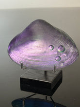 Amethyst Window Clam