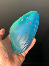 Green/Blue Window clam