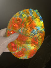 Cosmic Abalone “Large with stand”