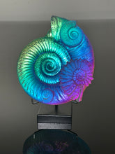 Rainbow Ammonite Cluster