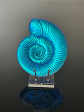 Aqua Aural Ammonite