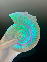 Crystalized Aural Ammonite