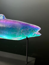 Aural Rainbow Trout