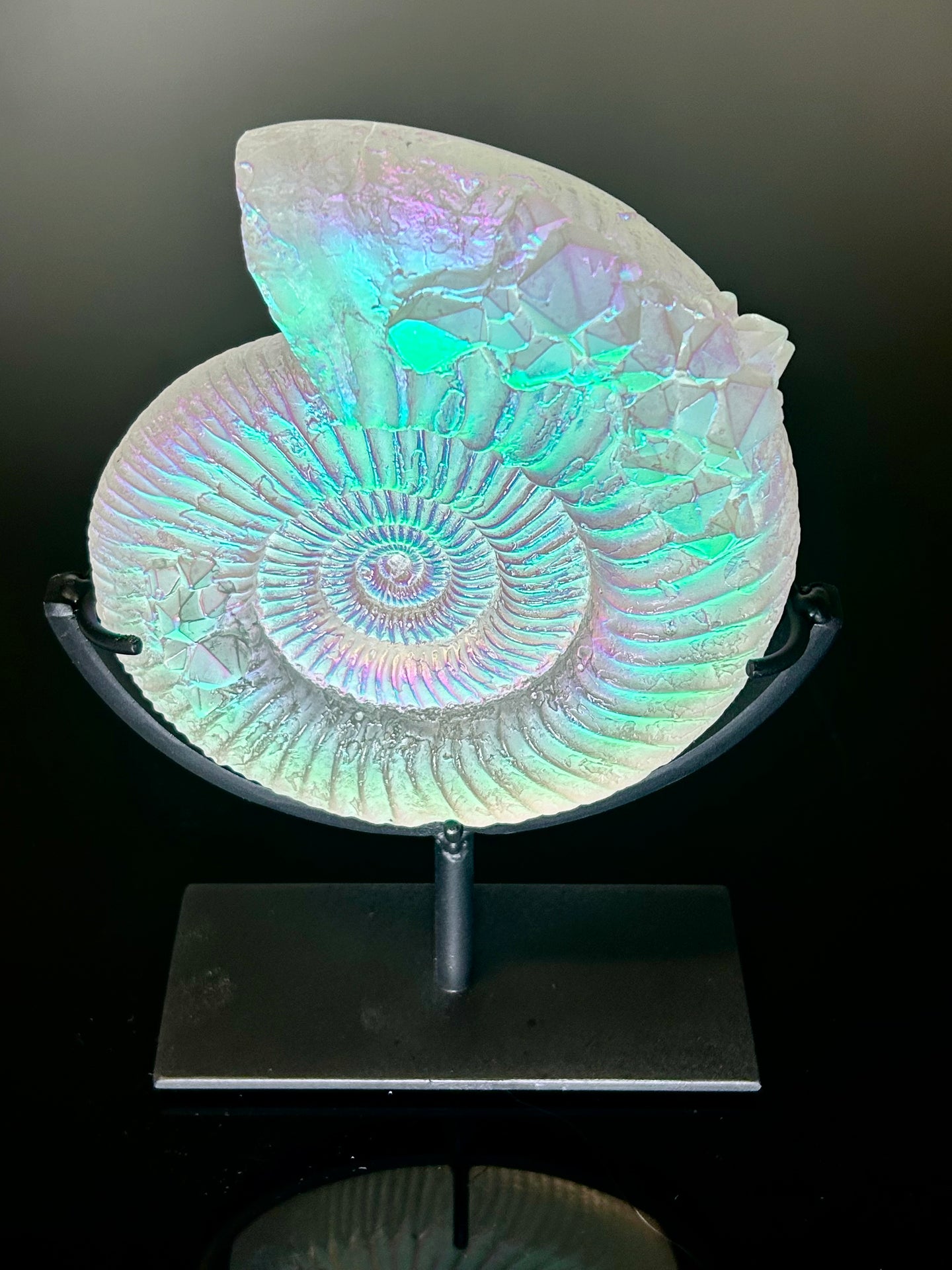 Crystalized Aural Ammonite