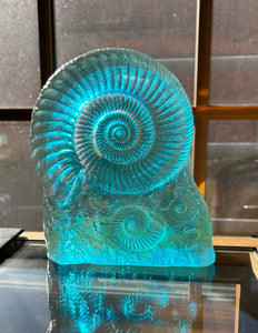 Sun Stone Ammonite