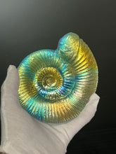Ancient Ammonite