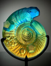 Geo Ammonite