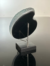 Ancient Ammonite