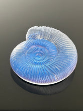 Aqua Aura Ammonite
