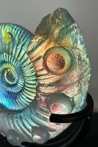 Cosmic Ammonite Nodule