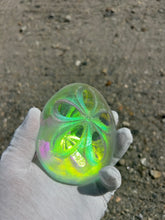 Aural Sand Dollar
