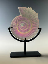 Crystalized Aural Ammonite