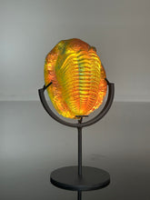 Lava glow Trilobite w/stand