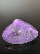 Amethyst Window Clam