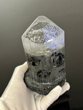 “Genetic Crystal”