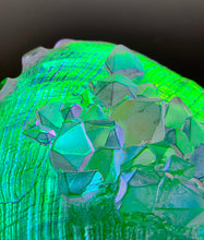 Crystalized Aural Abalone