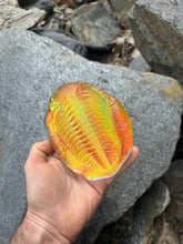 Lava glow Trilobite w/stand