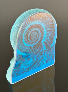 Sun Stone Ammonite