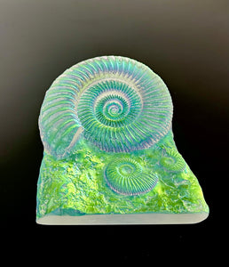 Aural Ammonite Sculpture “Medium size”